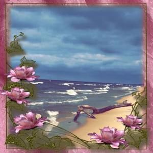 Meet your Posher, Samer